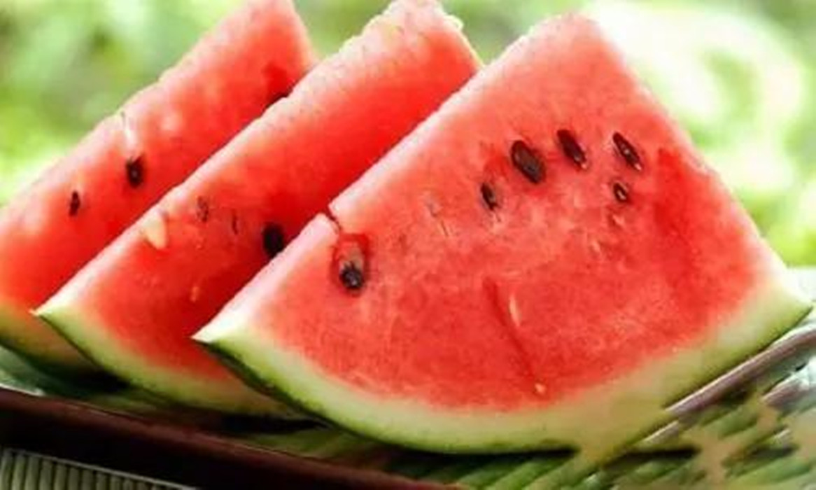 老年人夏季健康教育_夏季老年人身体健康_老人们身体健康