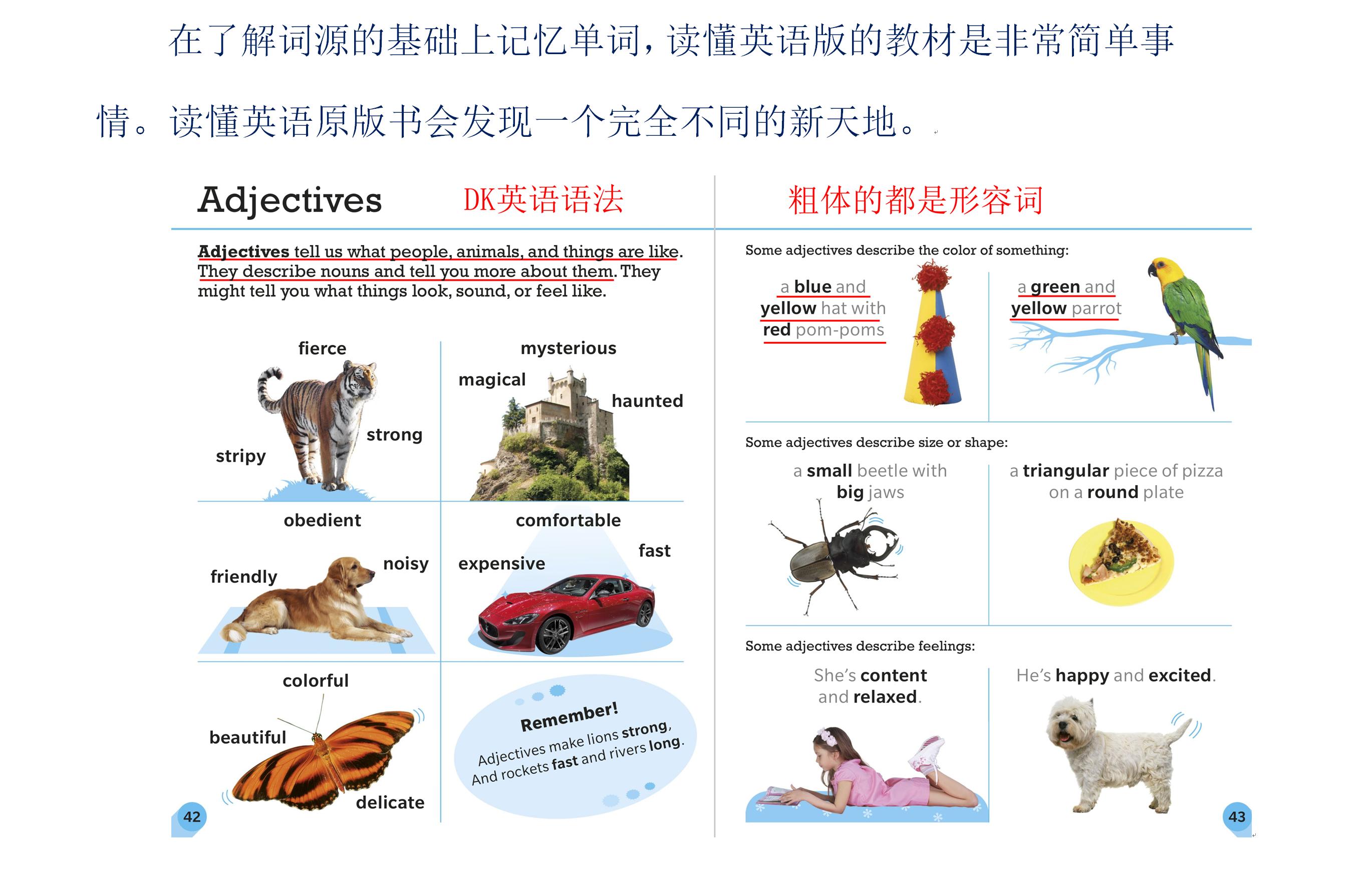 英语单词基本词汇_基本常识英语单词_英语单词的基本知识