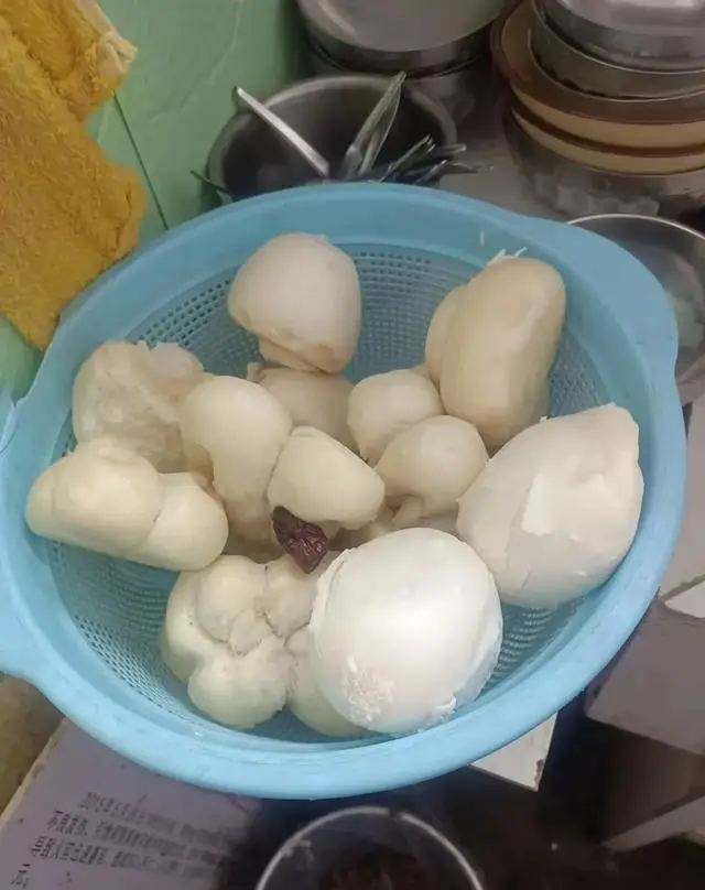瘫痪老人日常生活护理_78岁老人瘫痪的生活方式_瘫痪人是如何生活