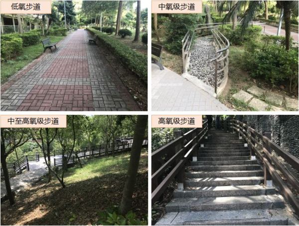 贴纸房子制作大全教程_健身房运动贴纸设计_贴纸房间设计