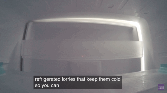 生活常识快手_快手有哪一种生活_快手知识大全