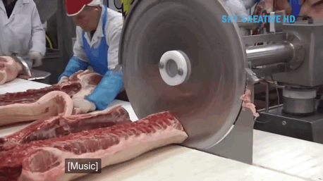生活常识快手_快手知识大全_快手有哪一种生活