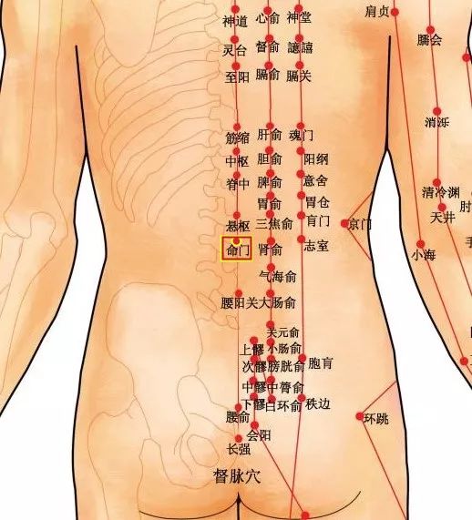 亚健康管理有限公司_亚佳网络科技有限公司_佳亚健康