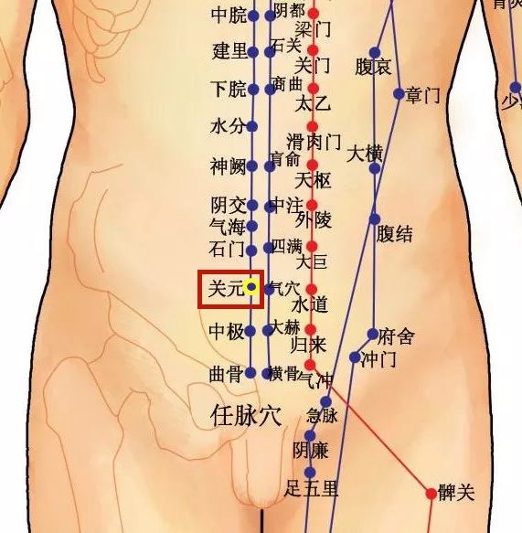 佳亚健康_亚佳网络科技有限公司_亚健康管理有限公司