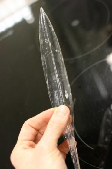 墨鱼生活在什么地方_墨鱼生活百科_墨鱼的生存方式