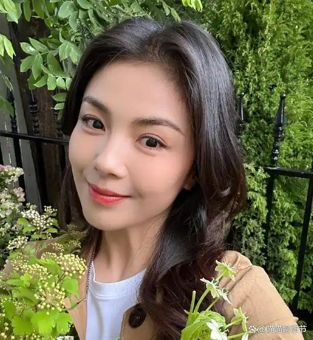 刘涛晒健身照_明星刘涛的健身_刘涛健身明星有哪些