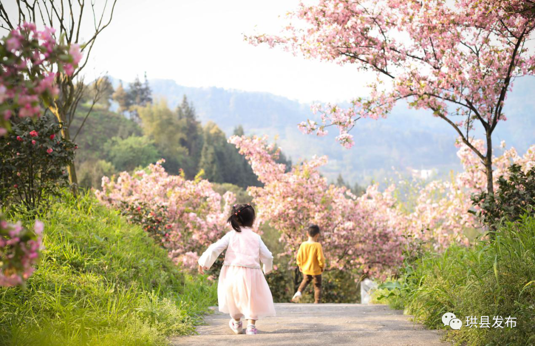 马拉松珙县_四川马拉松_四川宜宾马拉松